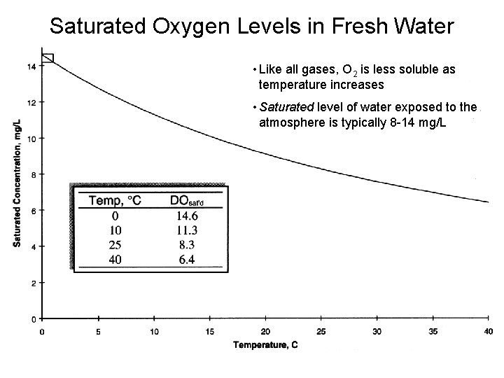 Saturated Oxygen Levels in Fresh Water • Like all gases, O 2 is less