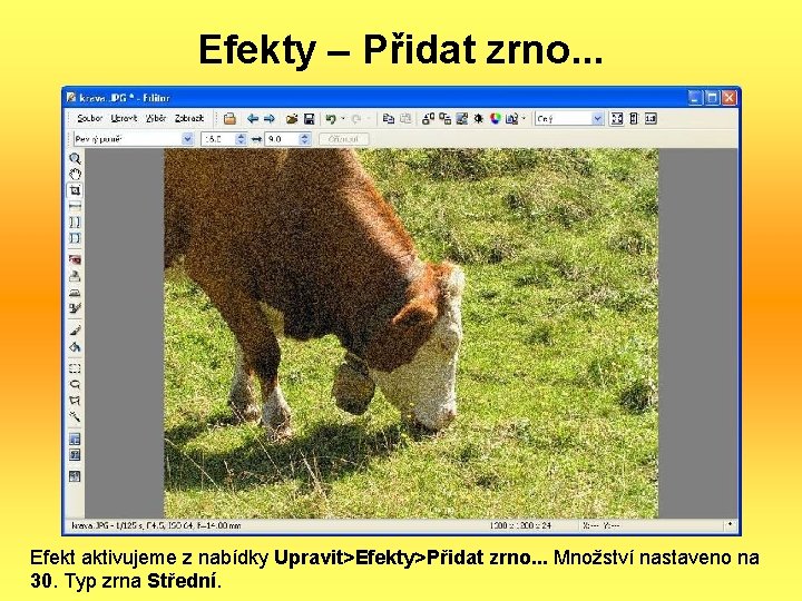 Efekty – Přidat zrno. . . Efekt aktivujeme z nabídky Upravit>Efekty>Přidat zrno. . .