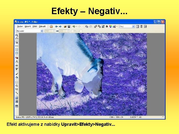 Efekty – Negativ. . . Efekt aktivujeme z nabídky Upravit>Efekty>Negativ. . . 