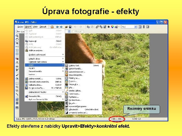 Úprava fotografie - efekty Rozměry snímku Efekty otevřeme z nabídky Upravit>Efekty>konkrétní efekt. 