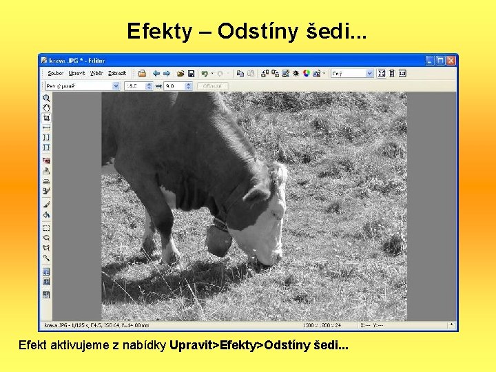 Efekty – Odstíny šedi. . . Efekt aktivujeme z nabídky Upravit>Efekty>Odstíny šedi. . .