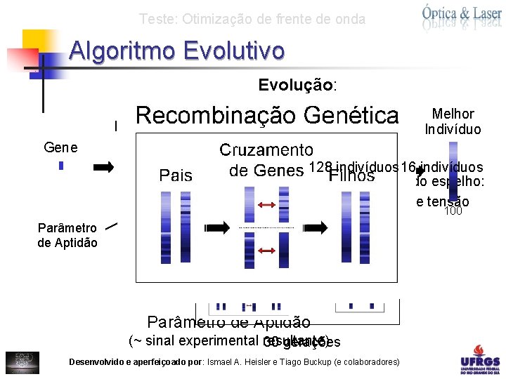 Teste: Otimização de frente de onda Algoritmo Evolutivo Evolução: Indivíduo Gene Parâmetro de Aptidão