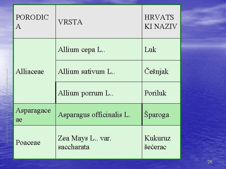 PORODIC A Alliaceae VRSTA HRVATS KI NAZIV Allium cepa L. . Luk Allium sativum