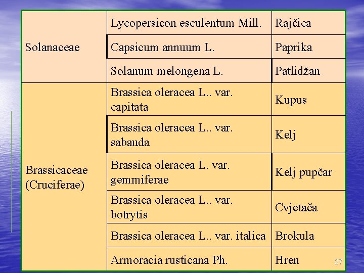 Solanaceae Brassicaceae (Cruciferae) Lycopersicon esculentum Mill. Rajčica Capsicum annuum L. Paprika Solanum melongena L.