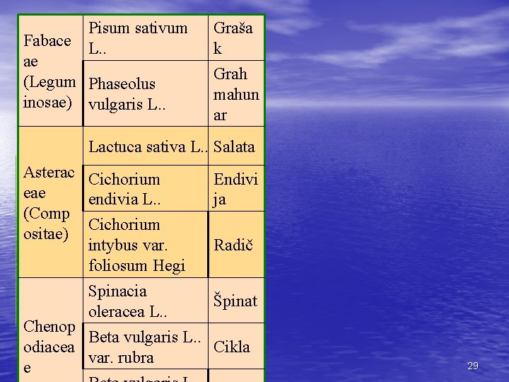 Pisum sativum L. . Fabace ae (Legum Phaseolus inosae) vulgaris L. . Graša k