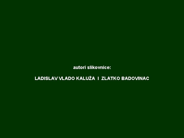 autori slikovnice: LADISLAV VLADO KALUŽA I ZLATKO BADOVINAC 