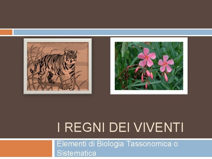 I REGNI DEI VIVENTI Elementi di Biologia Tassonomica o Sistematica 