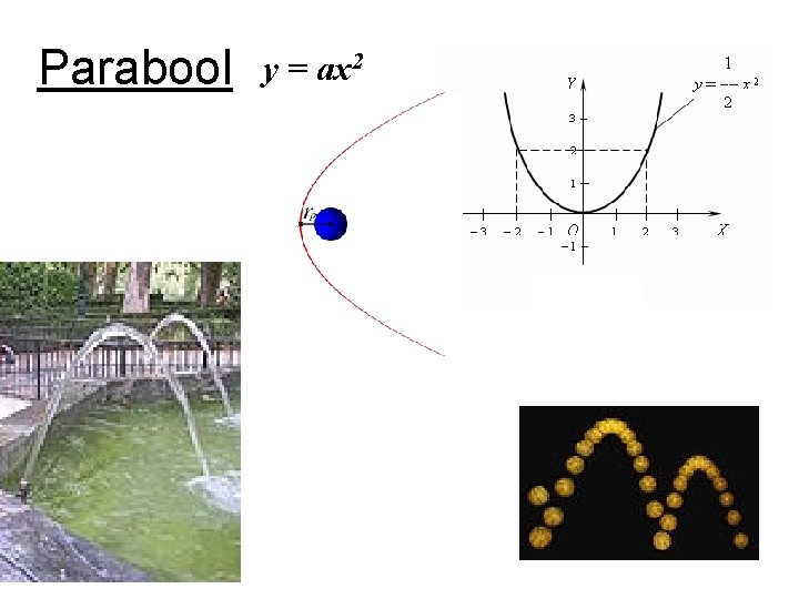 Parabool y = ax 2 