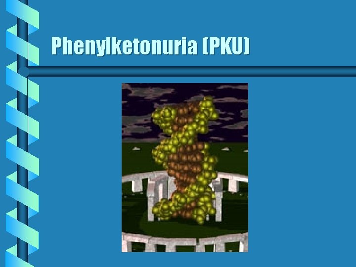 Phenylketonuria (PKU) 