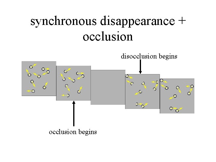 synchronous disappearance + occlusion disocclusion begins 