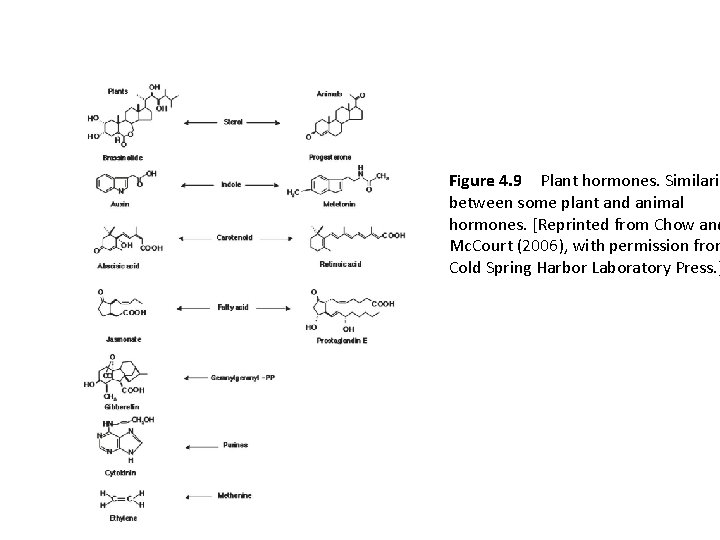 Figure 4. 9 Plant hormones. Similarit between some plant and animal hormones. [Reprinted from Chow