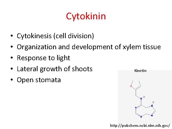 Cytokinin • • • Cytokinesis (cell division) Organization and development of xylem tissue Response