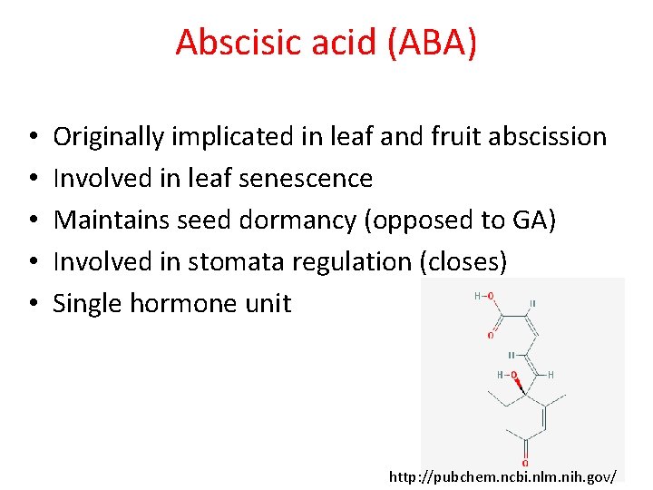 Abscisic acid (ABA) • • • Originally implicated in leaf and fruit abscission Involved