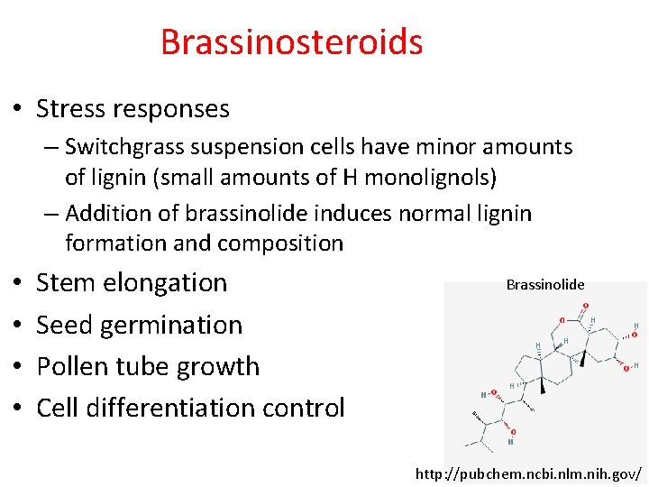 Brassinosteroids • Stress responses – Switchgrass suspension cells have minor amounts of lignin (small