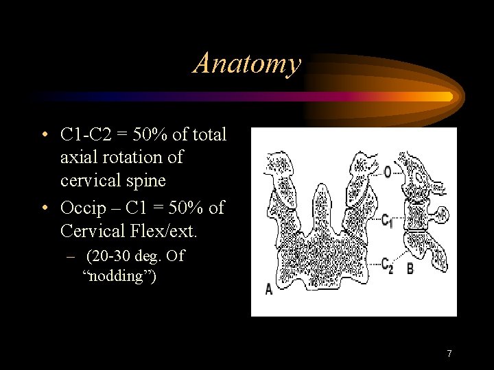 Anatomy • C 1 -C 2 = 50% of total axial rotation of cervical