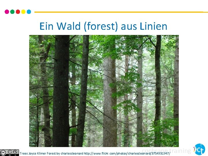 Ein Wald (forest) aus Linien cochrane training Trees Joyce Kilmer Forest by charlescleonard http: Ein Wald (forest) aus Linien cochrane training Trees Joyce Kilmer Forest by charlescleonard http: