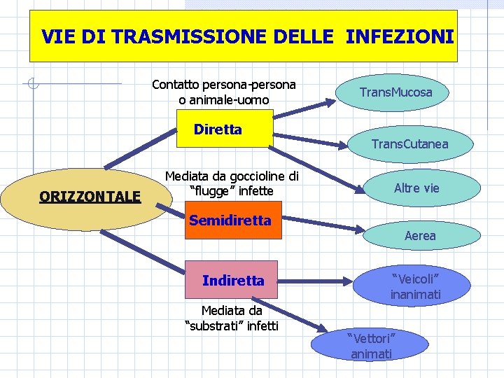 VIE DI TRASMISSIONE DELLE INFEZIONI Contatto persona-persona o animale-uomo Diretta ORIZZONTALE Mediata da goccioline