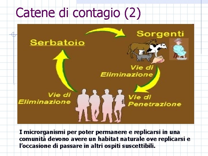 Catene di contagio (2) I microrganismi per poter permanere e replicarsi in una comunità