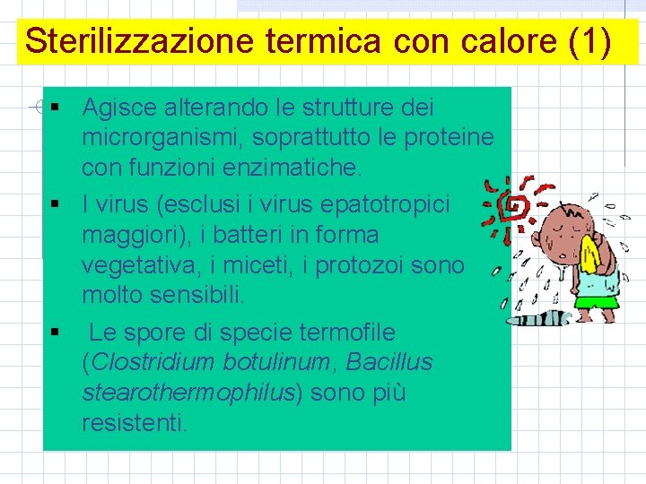 Sterilizzazione termica con calore (1) § Agisce alterando le strutture dei microrganismi, soprattutto le