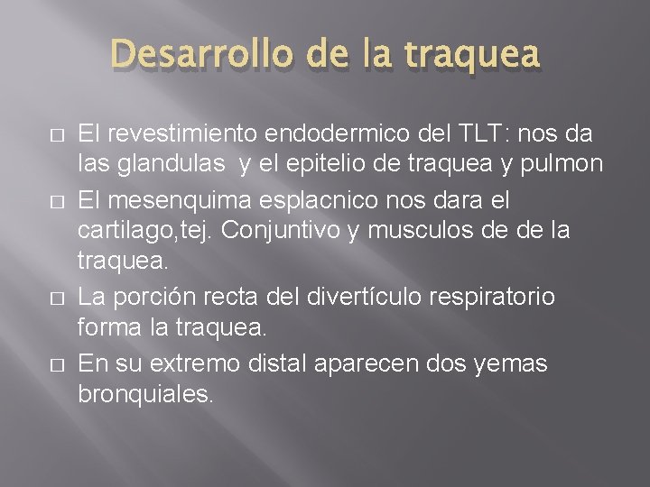 Desarrollo de la traquea � � El revestimiento endodermico del TLT: nos da las