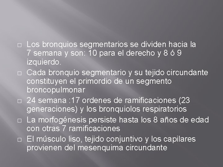 � � � Los bronquios segmentarios se dividen hacia la 7 semana y son: