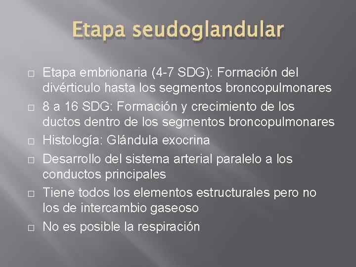 Etapa seudoglandular � � � Etapa embrionaria (4 -7 SDG): Formación del divérticulo hasta Etapa seudoglandular � � � Etapa embrionaria (4 -7 SDG): Formación del divérticulo hasta