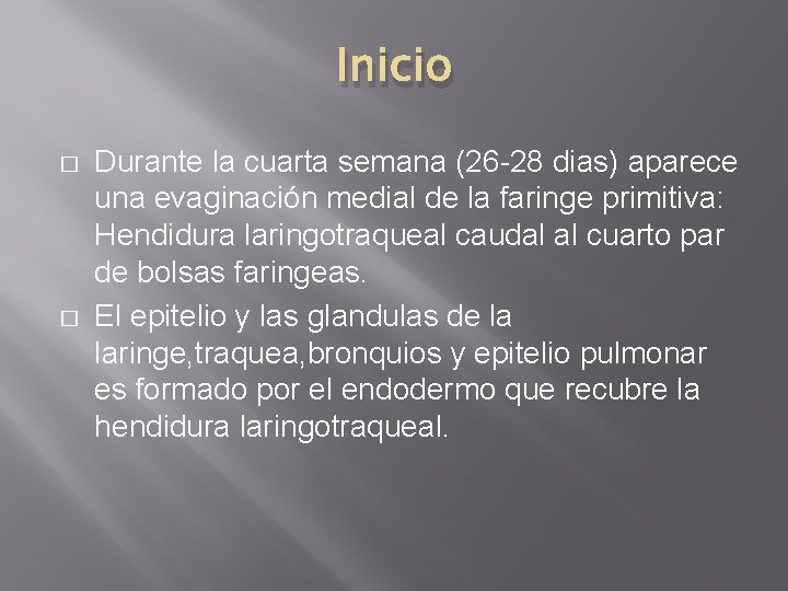 Inicio � � Durante la cuarta semana (26 -28 dias) aparece una evaginación medial