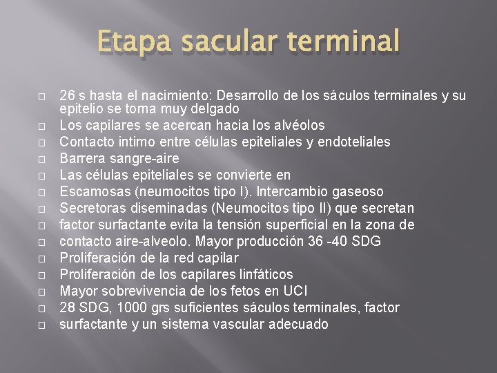 Etapa sacular terminal � � � � 26 s hasta el nacimiento: Desarrollo de