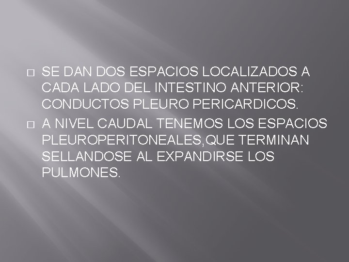 � � SE DAN DOS ESPACIOS LOCALIZADOS A CADA LADO DEL INTESTINO ANTERIOR: CONDUCTOS