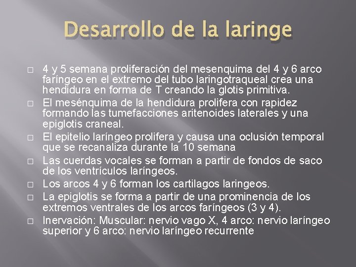 Desarrollo de la laringe � � � � 4 y 5 semana proliferación del