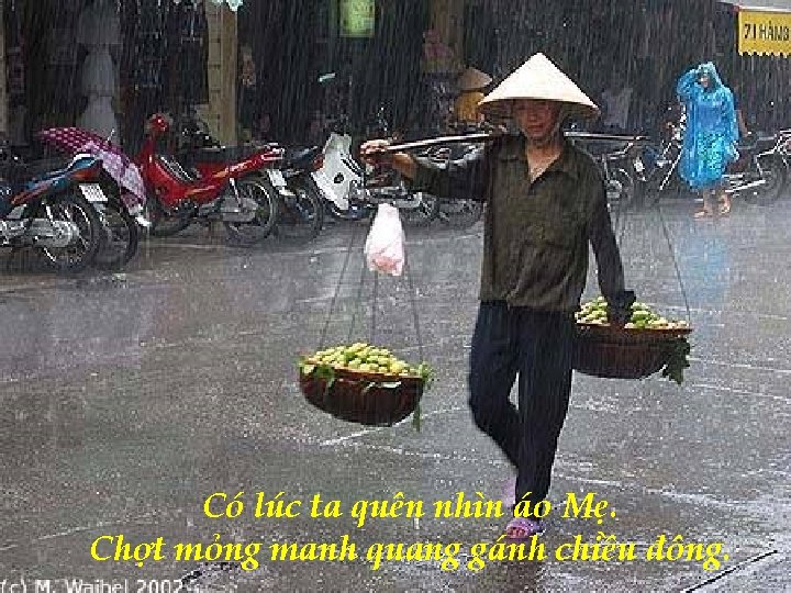 Có lúc ta quên nhìn áo Mẹ. Chợt mỏng manh quang gánh chiều đông.