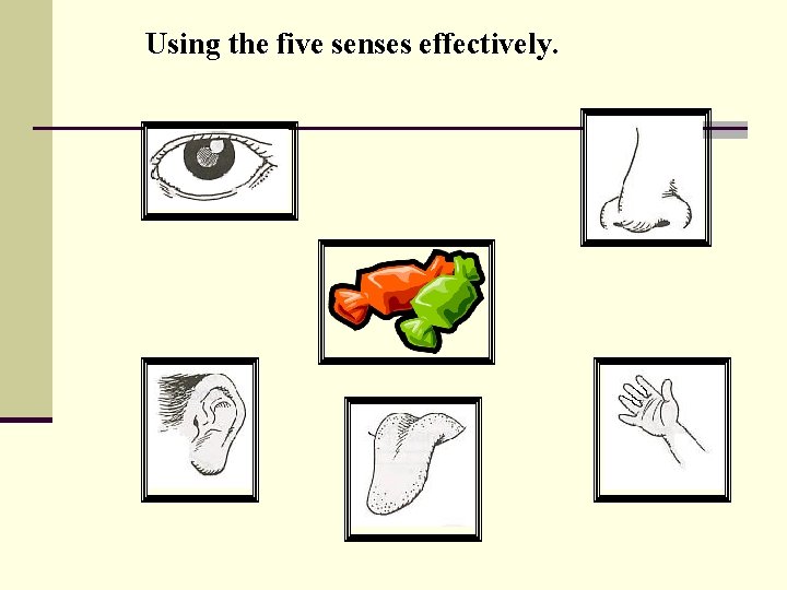 Using the five senses effectively. 