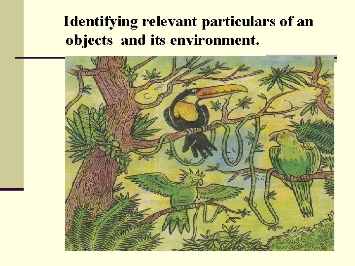 Identifying relevant particulars of an objects and its environment. 