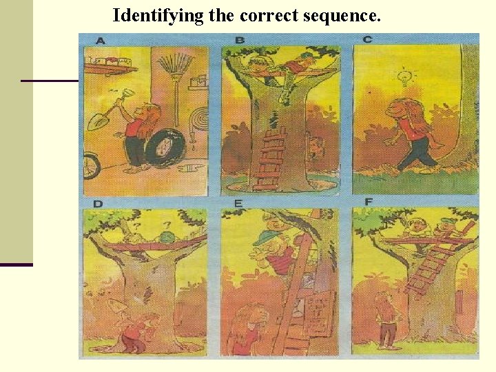 Identifying the correct sequence. 