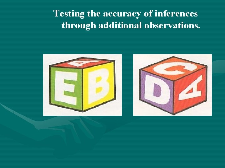 Testing the accuracy of inferences through additional observations. 