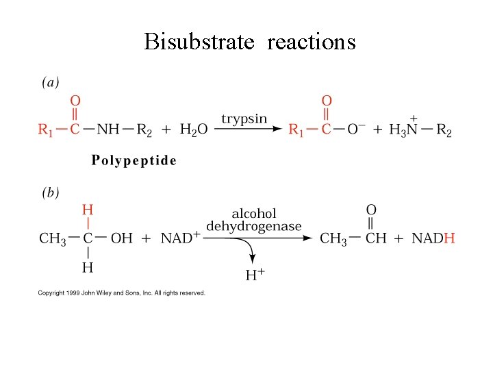 Bisubstrate reactions 