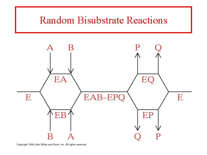 Random Bisubstrate Reactions 