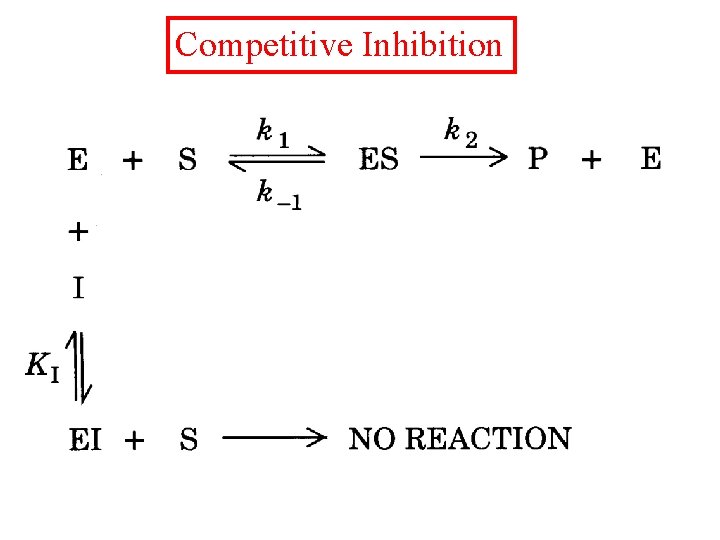 Competitive Inhibition 