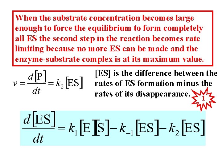 When the substrate concentration becomes large enough to force the equilibrium to form completely