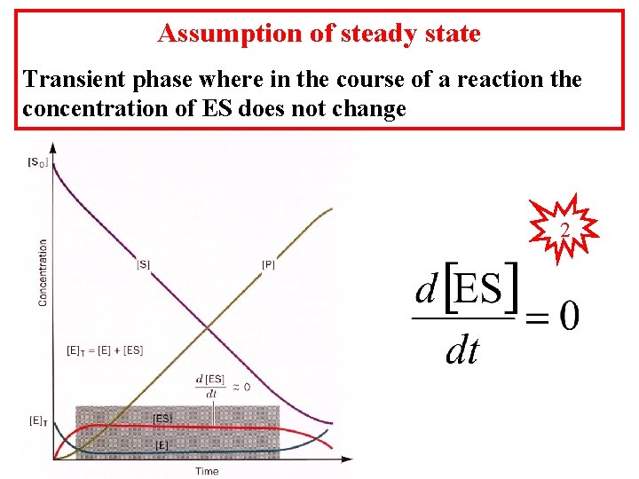 Assumption of steady state Transient phase where in the course of a reaction the