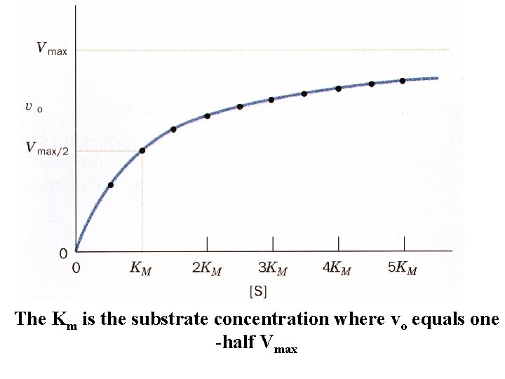 The Km is the substrate concentration where vo equals one -half Vmax 
