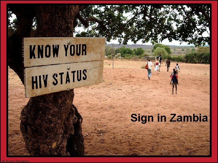 Sign in Zambia © Brain Wrinkles 