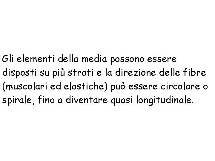 Gli elementi della media possono essere disposti su più strati e la direzione delle Gli elementi della media possono essere disposti su più strati e la direzione delle