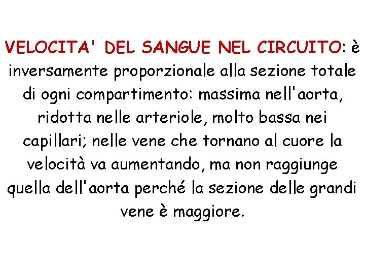 VELOCITA' DEL SANGUE NEL CIRCUITO: è inversamente proporzionale alla sezione totale di ogni compartimento: VELOCITA' DEL SANGUE NEL CIRCUITO: è inversamente proporzionale alla sezione totale di ogni compartimento: