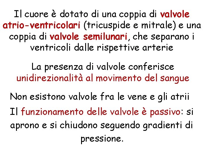 Il cuore è dotato di una coppia di valvole atrio-ventricolari (tricuspide e mitrale) e