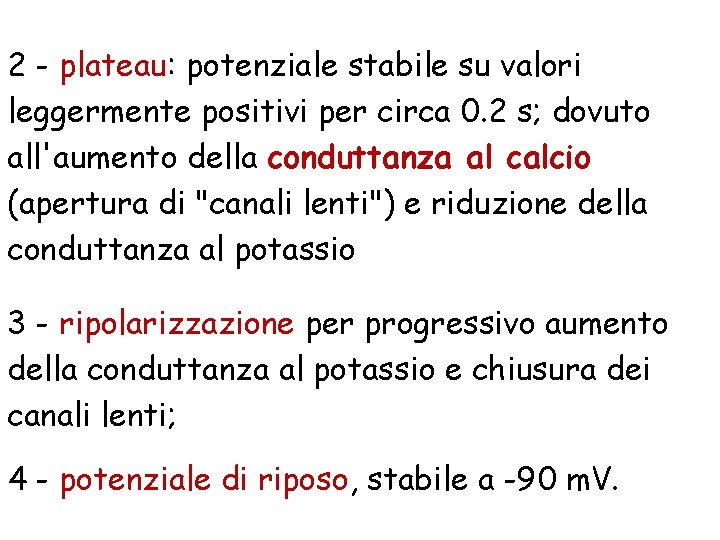 2 - plateau: potenziale stabile su valori leggermente positivi per circa 0. 2 s;