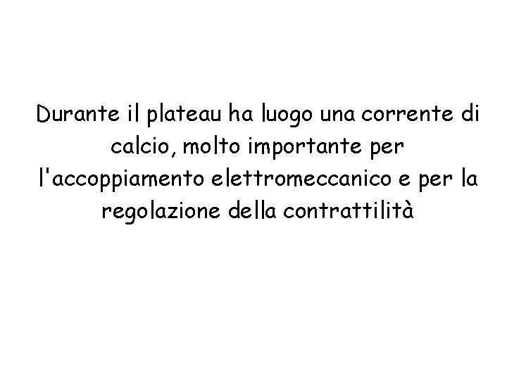 Durante il plateau ha luogo una corrente di calcio, molto importante per l'accoppiamento elettromeccanico