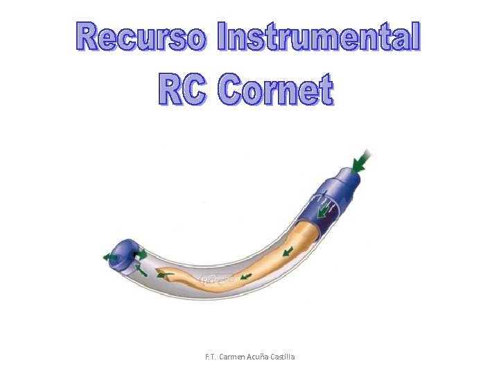 F. T. Carmen Acuña Castilla 