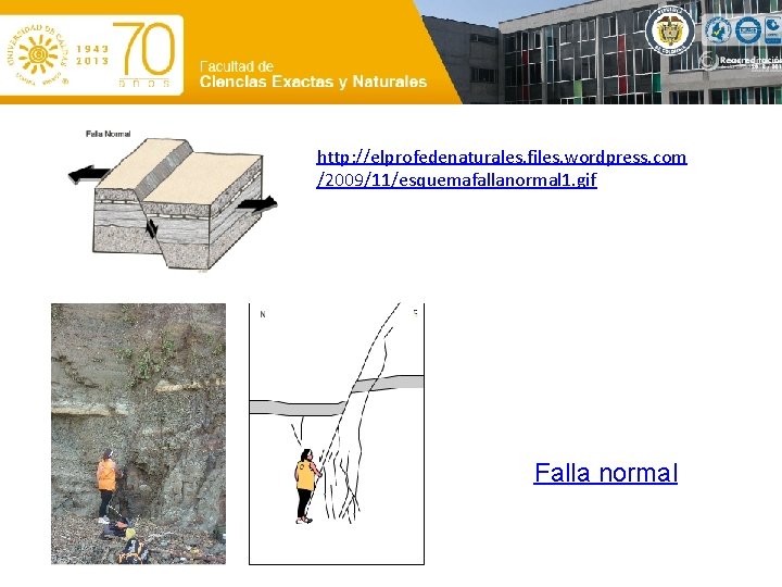 http: //elprofedenaturales. files. wordpress. com /2009/11/esquemafallanormal 1. gif Falla normal 