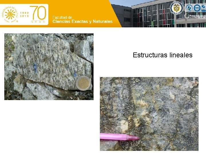 Estructuras lineales 